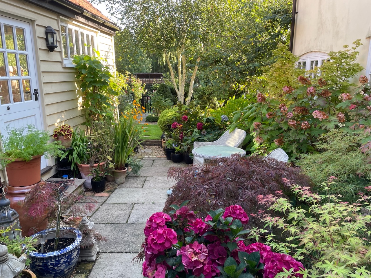 Courtyard with flowers and shrubs in pots and planters