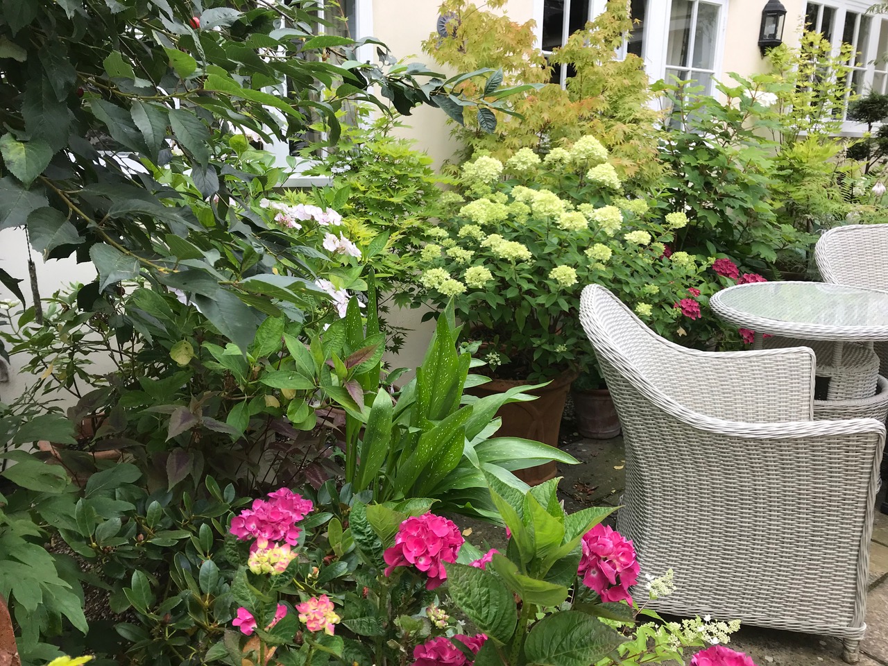 Courtyard with summer flowers