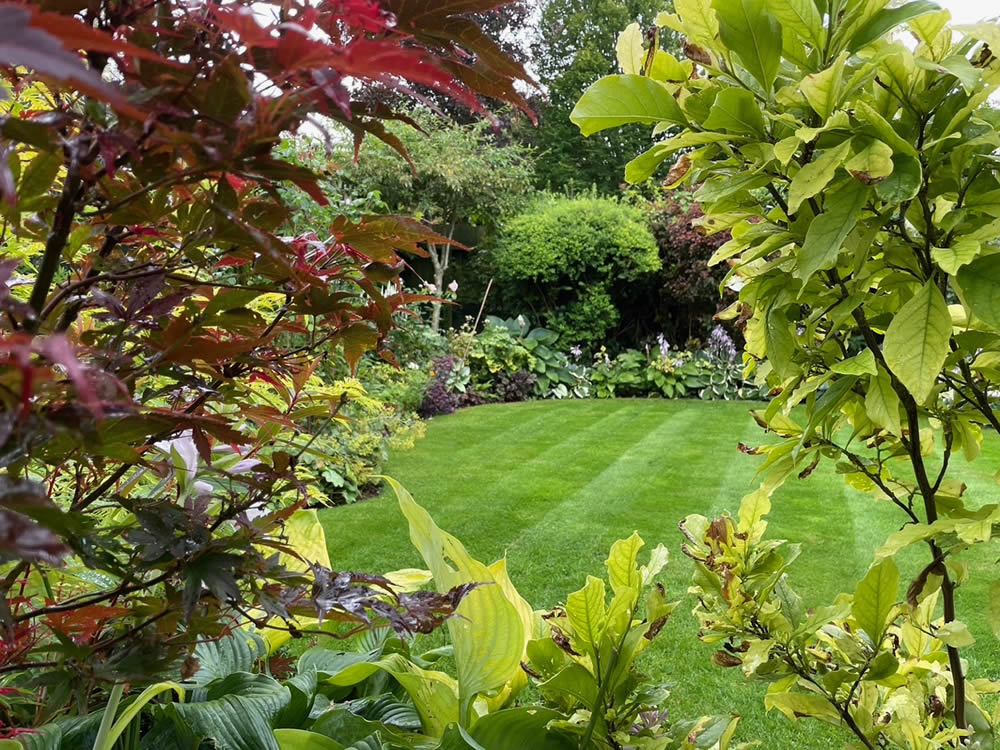 Summer in the Garden