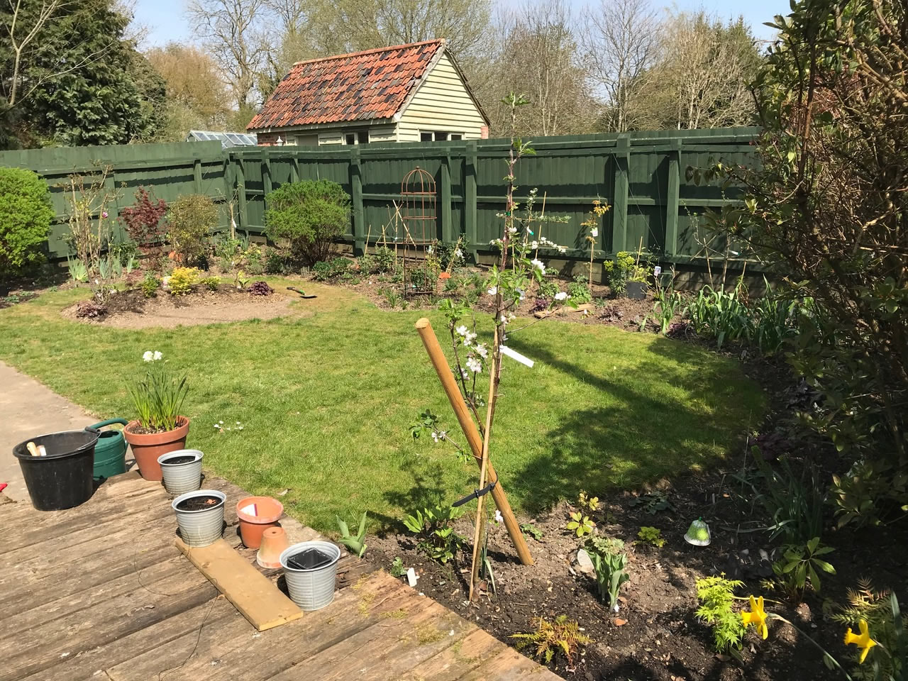 planting lower garden